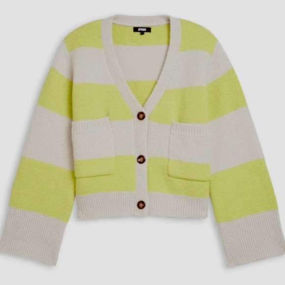 Beautiful super soft & comfy Apparis sweater Never worn tags on and in packaging | Poshmark