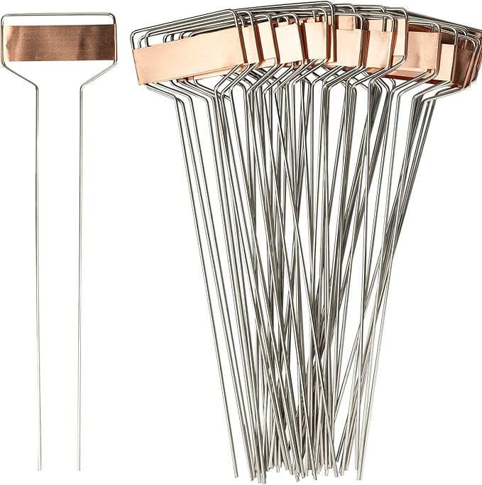 Metal Plant Labels for Garden, Pack of 25 pcs Waterproof Markers Excellent for Outdoor Use, 10" | Amazon (US)