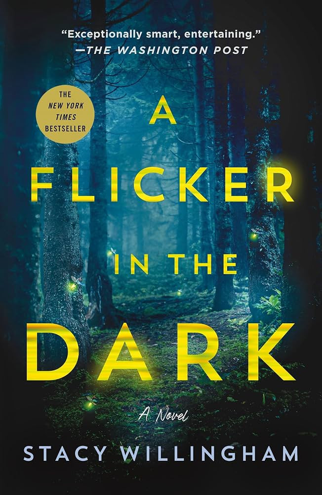 Flicker in the Dark | Amazon (US)