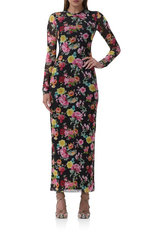 AFRM Didi Printed Long Sleeve Mesh Maxi Dress in Spring Rose at Nordstrom, Size Small | Nordstrom