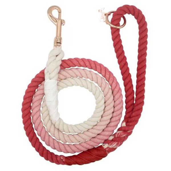 SASSY WOOF Rope Dog Leash, Sicily - Chewy.com | Chewy.com