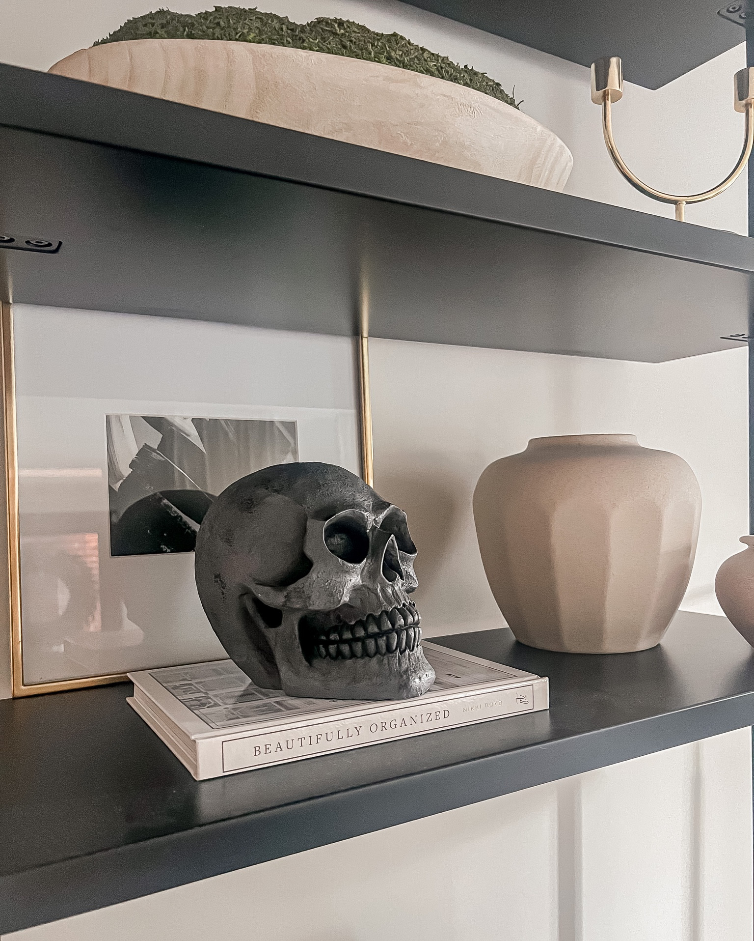 This skull is so cute & perfect for Halloween. Only $12!! 

Halloween decor 
Skull decor 
Table top skull 

#LTKSeasonal #LTKhome #LTKunder50