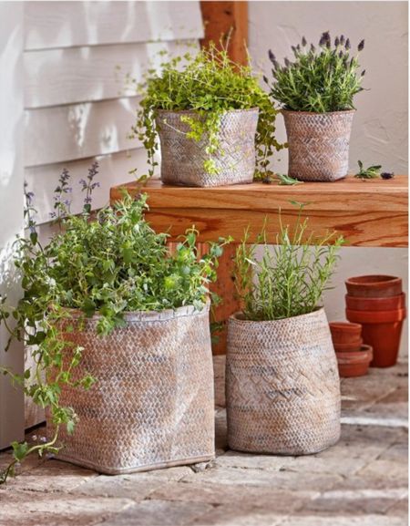 Love this textured cement planter. It’s on sale!





Target, patio and garden, 

#LTKhome #LTKSeasonal #LTKsalealert