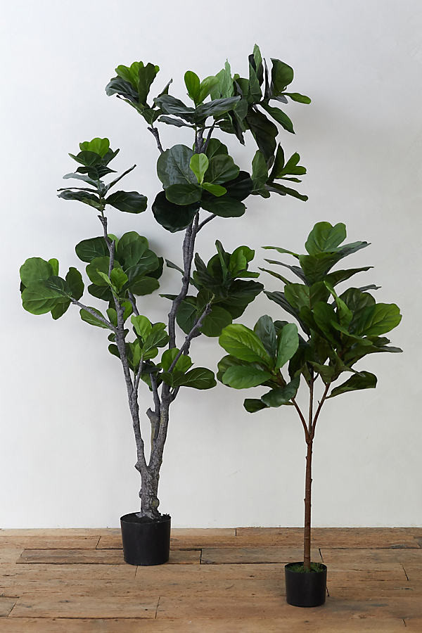 Faux Fiddle Leaf Fig Tree By Terrain in Assorted Size S | Anthropologie (US)
