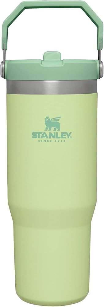 Stanley IceFlow Stainless Steel Tumbler with Straw - Vacuum Insulated Water Bottle for Home, Offi... | Amazon (US)