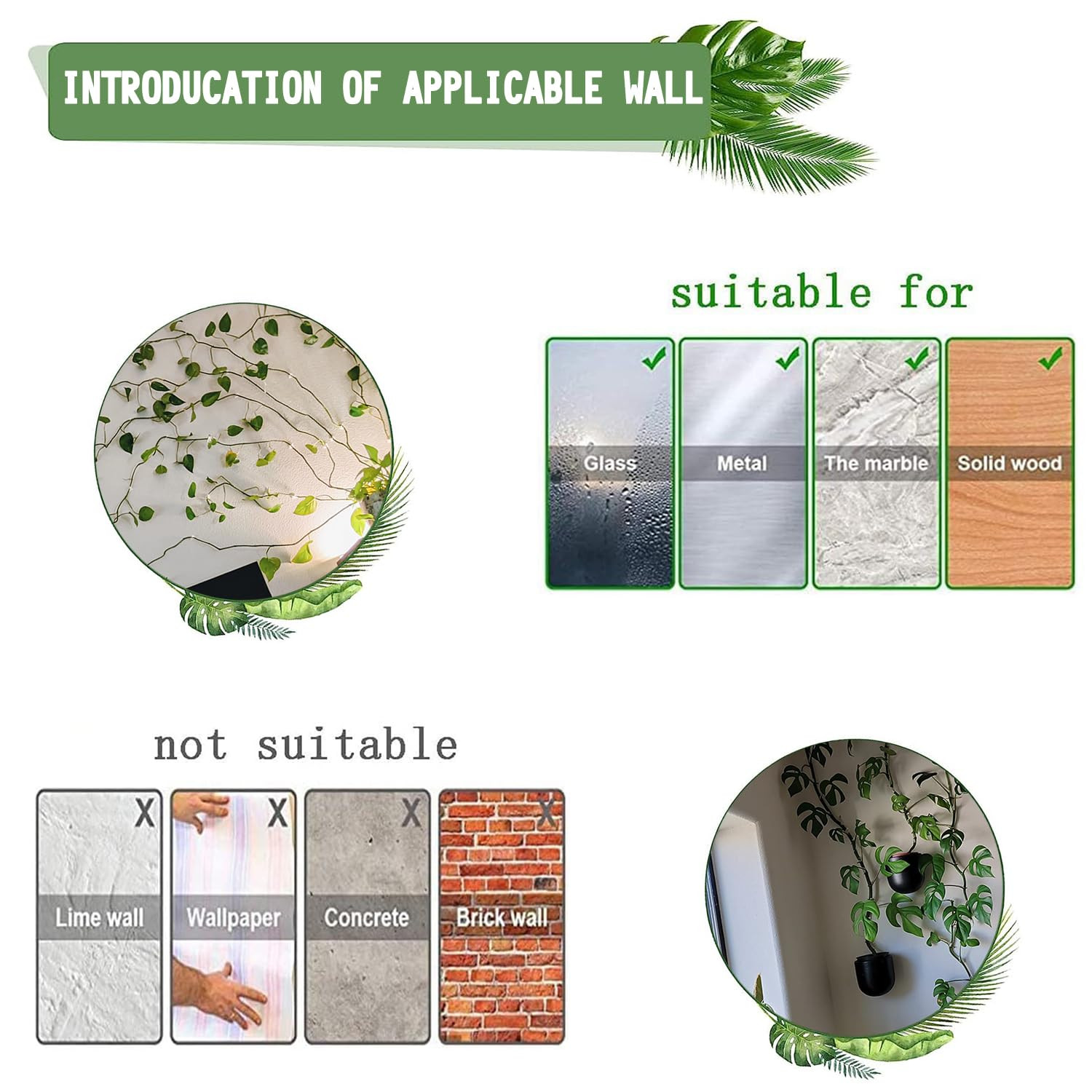 Tmofs 100Pcs Plant Climbing Wall Fixture Clips,Plant Fixer Invisible Wall Vines Fixing Clips Self... | Amazon (US)