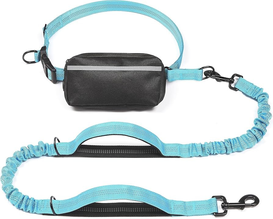 iYoShop Hands Free Dog Leash with Zipper Pouch, Dual Padded Handles and Durable Bungee for Walkin... | Amazon (US)