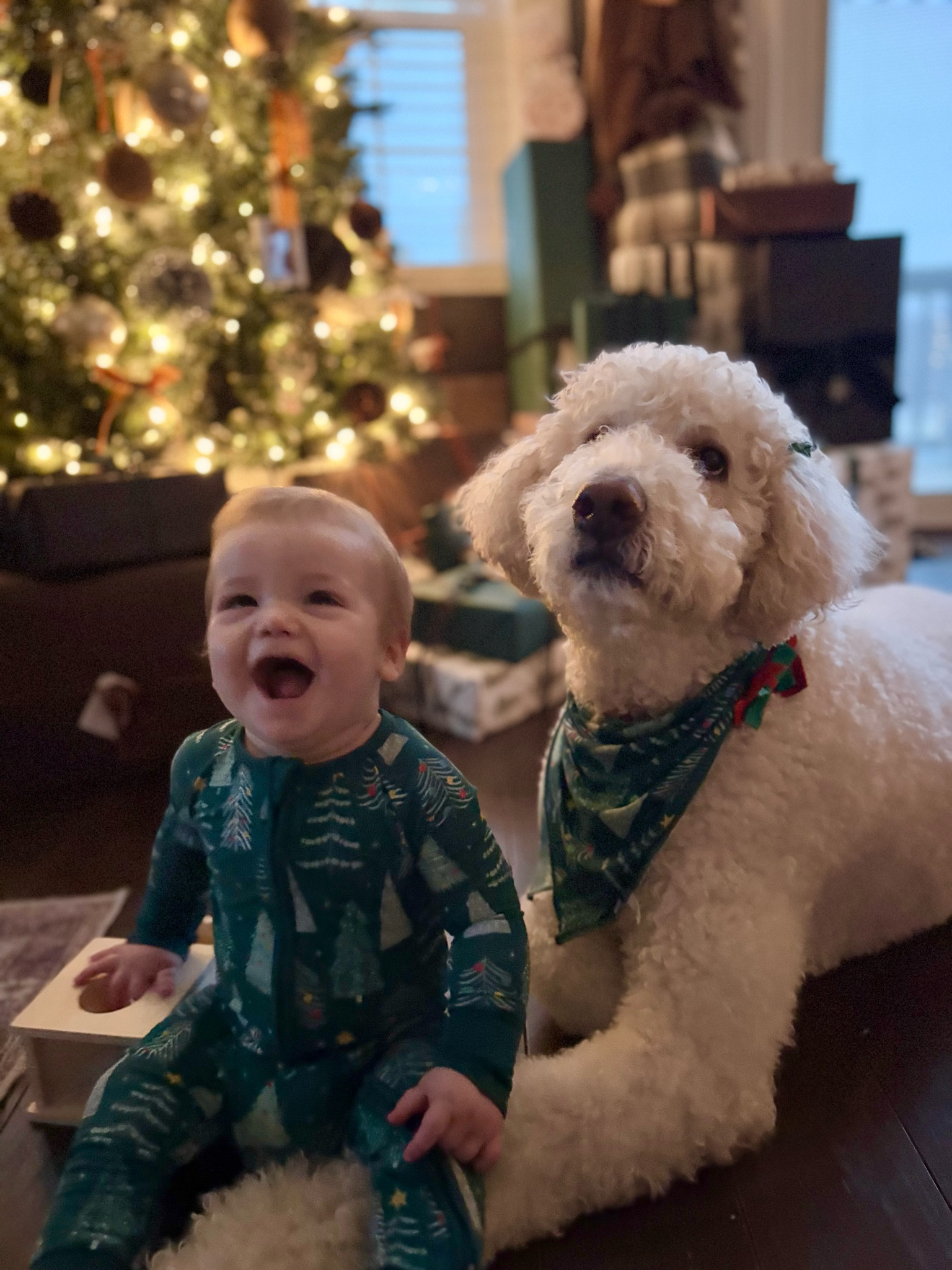 Matching Christmas pajamas // little sleepies 

#LTKBaby #LTKSeasonal