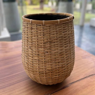 Telise Indoor Pot Planter | Wayfair North America