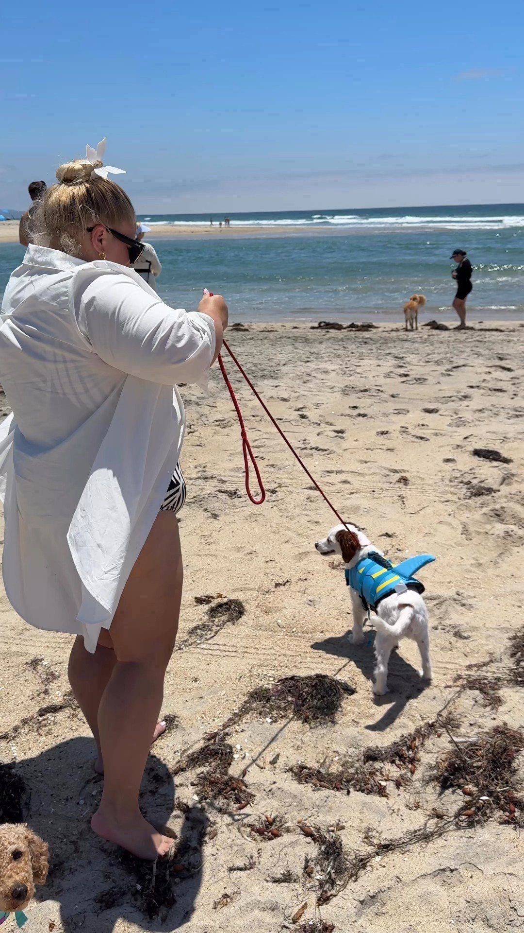 We took our babies to go see the ocean for the first time and I’m so glad we got these affordable life jackets for them on Amazon for around $20 each which was an absolute steal because it just gave me that sense of security and knowing that they would be OK Because they are very little! These are the perfect size for little dogs, but I will also link some similar lifejackets for larger dogs as well! If you want the link to my swimsuit, please send me a DM on Instagram and I will send you the link for that:)

Travel, essentials, beach, dog puppy life jacket  Amazon find

#LTKPets #LTKTravel #LTKHome