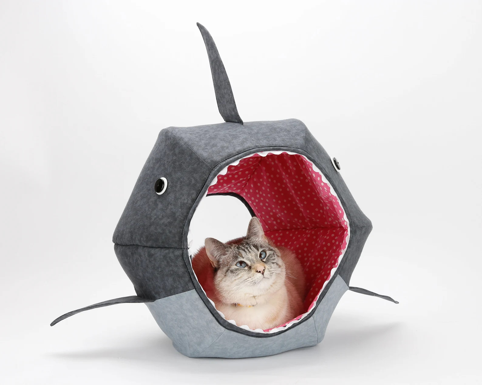 Great White Shark Cat Ball Cave Style Bed for Pets - Etsy | Etsy (US)