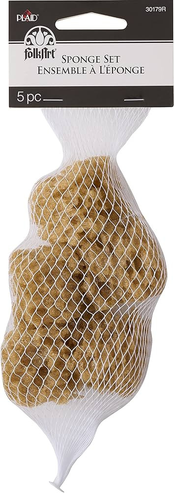 FolkArt Synthetic Sponge Set, Small, Brown | Amazon (US)