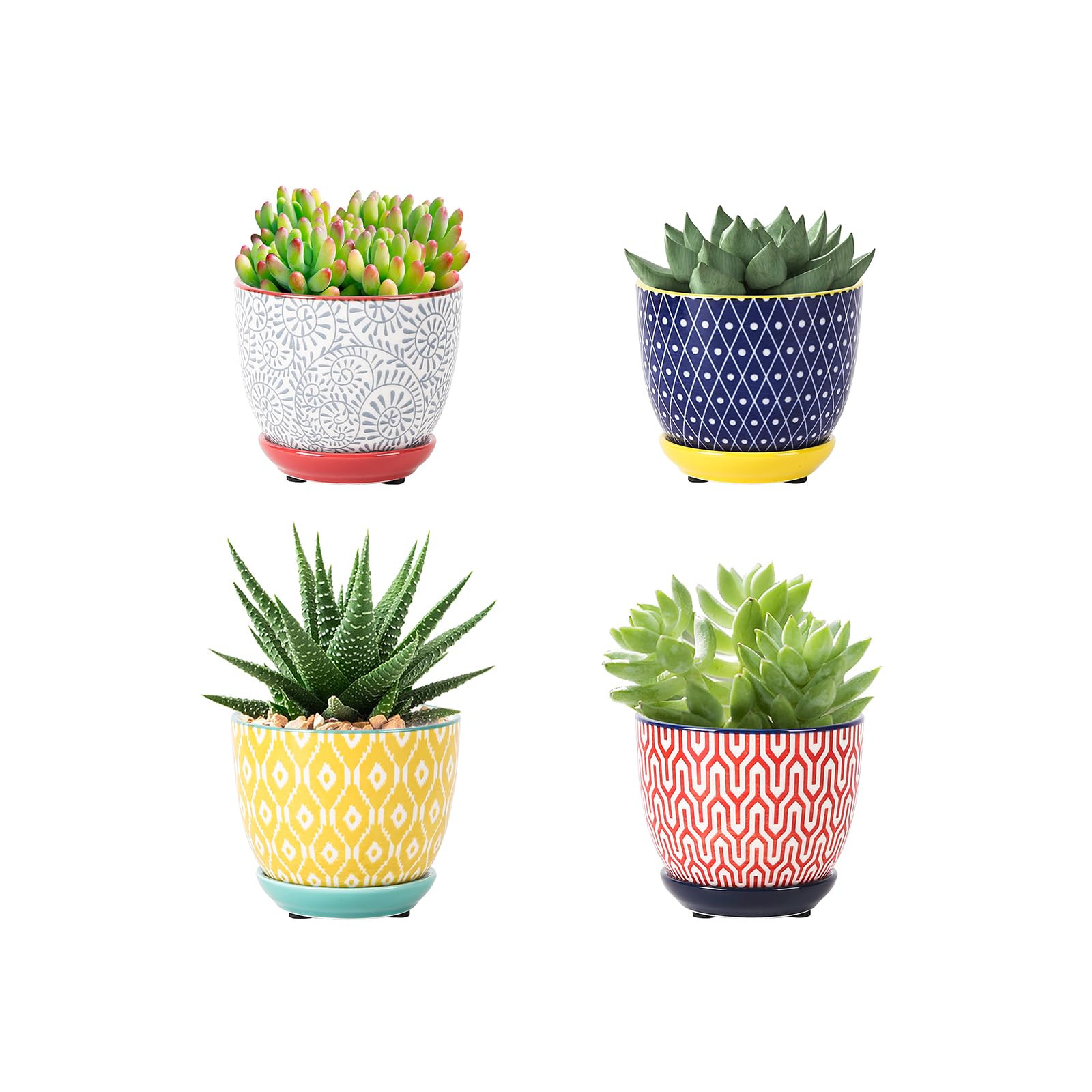 Selamica Ceramic Succulent Pots with Drainage Holes, Small Flower Pots 3.5 Inch Plant Pots for In... | Amazon (US)
