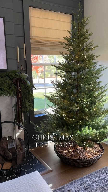 Christmas tree breakdown! I love having multiple trees in different spaces on my home—how about you?

Living room tree: 7 ft Norway spruce tree
Office tree: 7.5 ft Aspen fir tree
Bedroom tree: 6.5 Aspen fir tree 
Kid bedroom tree: 7 ft pine tree

I linked similar collars and baskets since most of mine are old. If you try a basket please make sure you measure your tree base. Or use a patio umbrella stand instead! 

#LTKHoliday #LTKhome #LTKsalealert