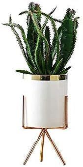 Modern Style Decorative Plant Pots with Stands Ceramic Planter Modern Style Cylindrical Succulent... | Amazon (CA)