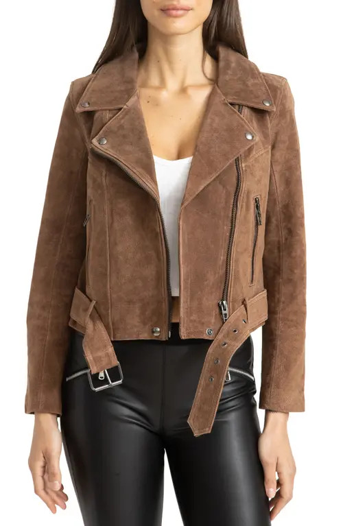 BLANKNYC Suede Moto Jacket in Caramel Macchiato at Nordstrom, Size X-Small | Nordstrom