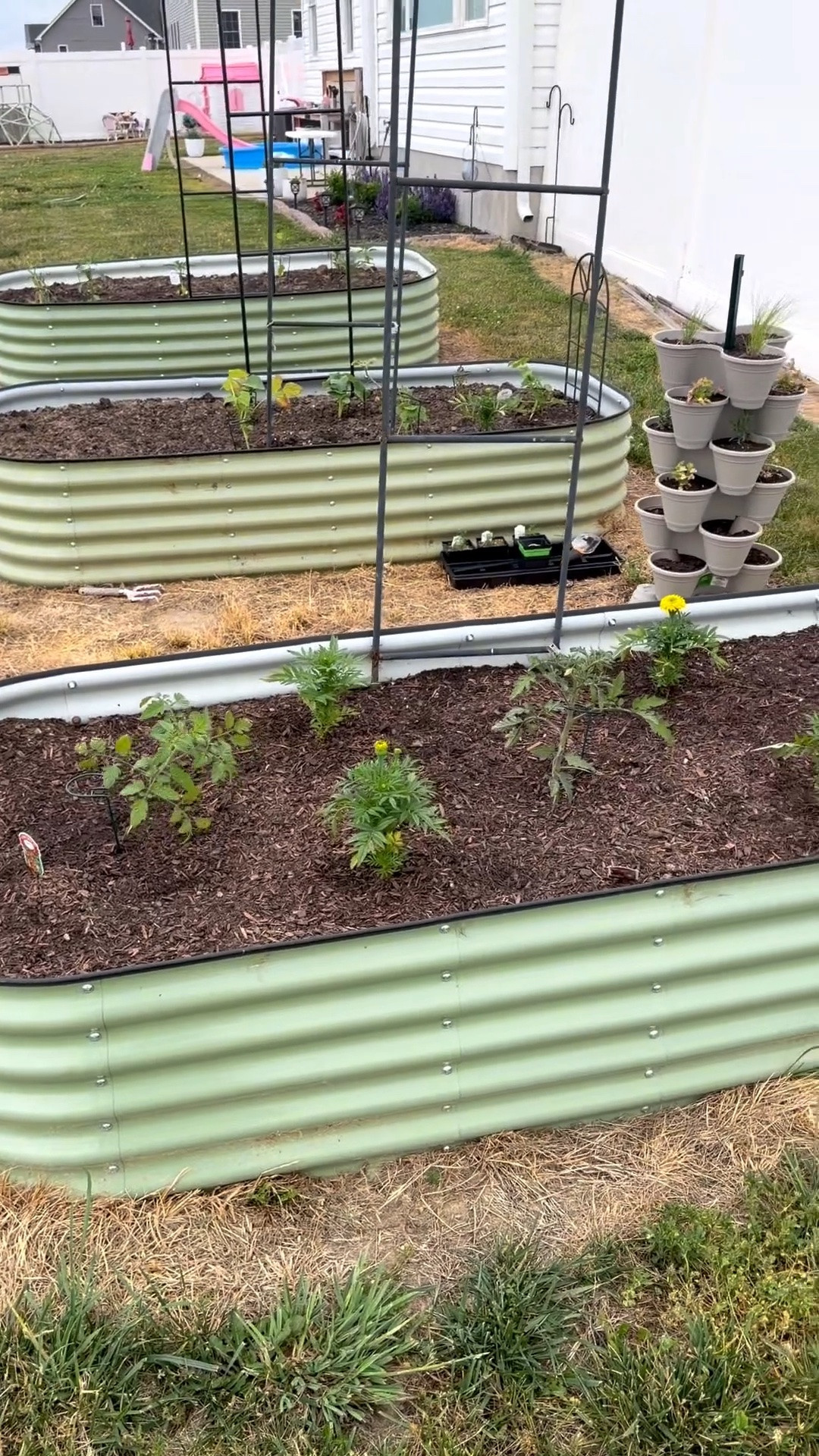 This is my second year with these raised garden beds. They are the perfect size and height for me without having to break my back. I love that you can configure them to different sizes as needed too 🙌🏽🌱✨

#gardentok #momlife #nontoxicliving #gardening #raisedgardenbeds

#LTKmomlife #LTKdayinmylife #LTKvlog