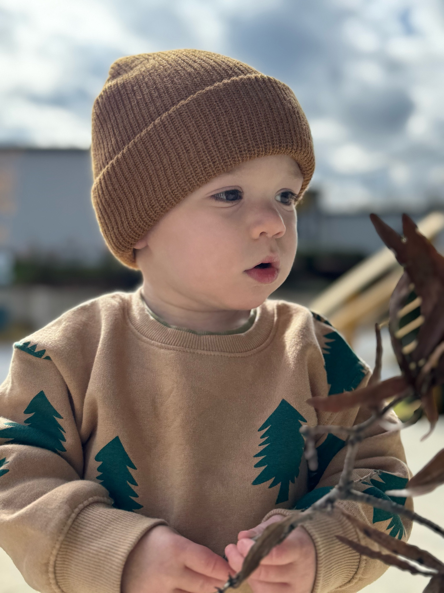 The perfect toddler boy Christmas season set! And under $10 at target too!

Love a matching sweat set on these little guys. We have this beanie in every color they make!

#LTKHoliday #LTKKids #LTKFamily
