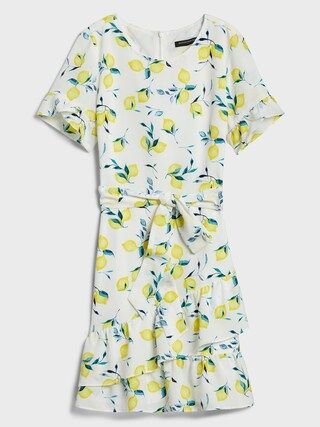 Frill Fit-and-Flare Dress | Banana Republic Factory