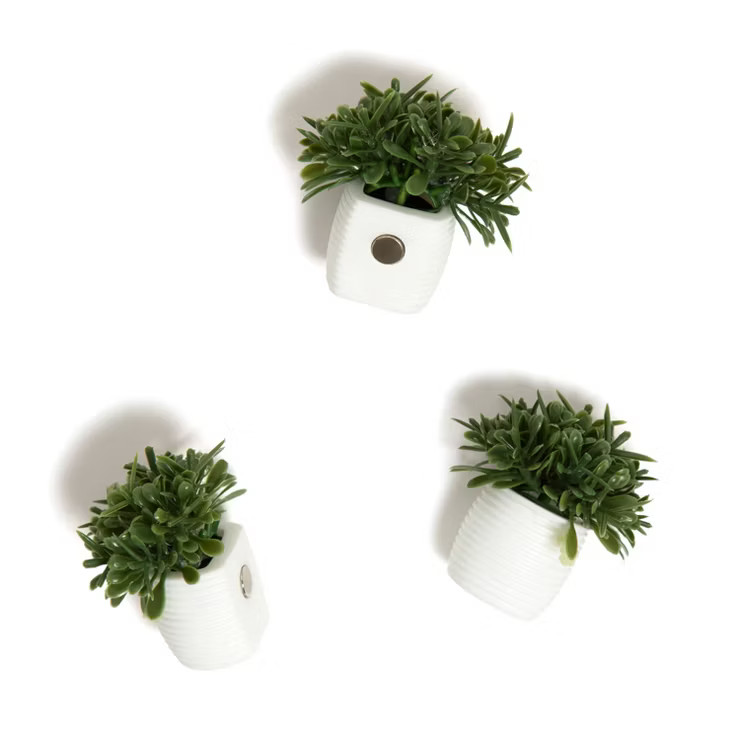 U Brands 3ct Magnets Hedge | Target
