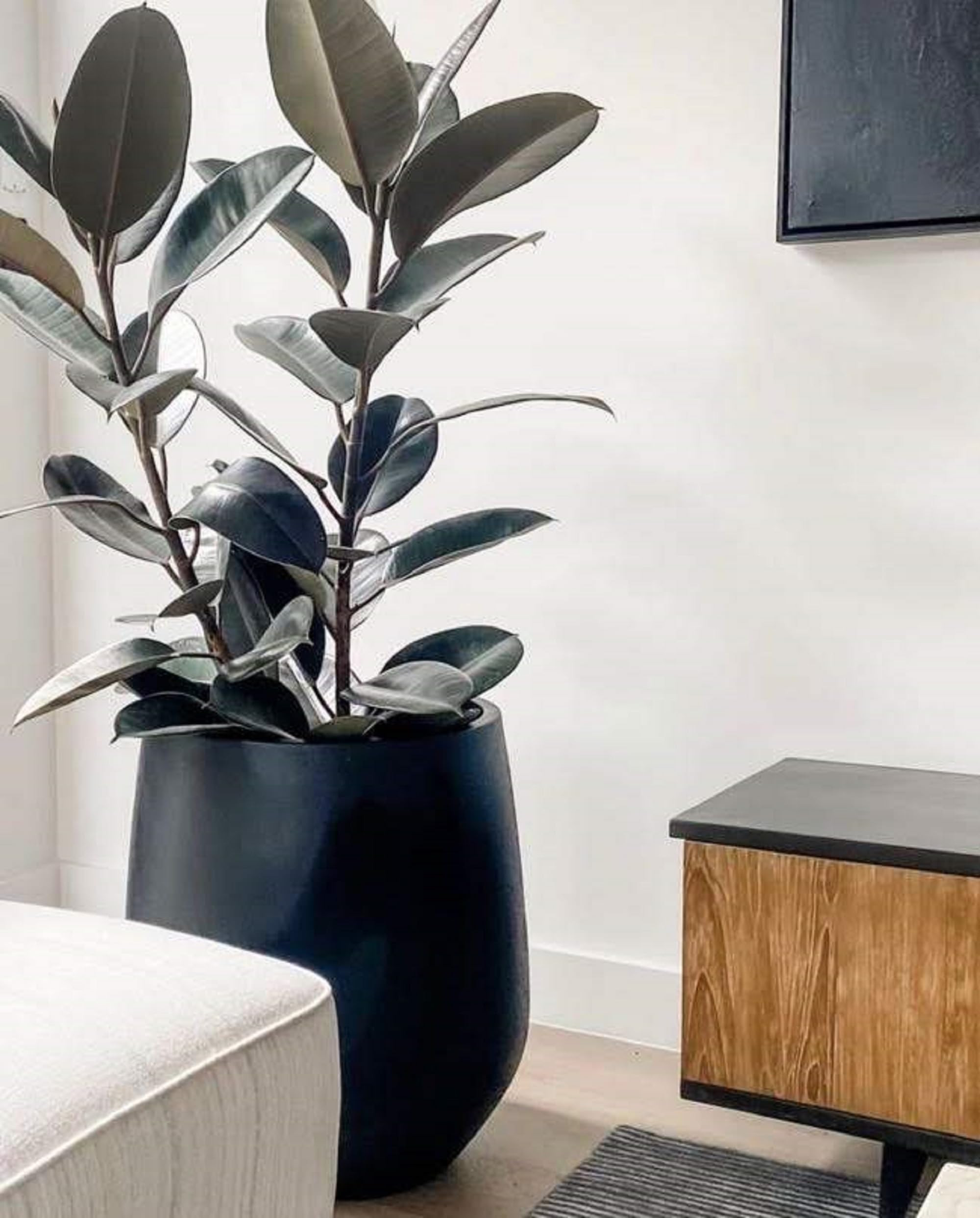 DTY Signature Mount Wilson 1-Piece Fiberstone Tapered Planter for Indoor/Outdoor, Black, 16.7" H ... | Amazon (US)