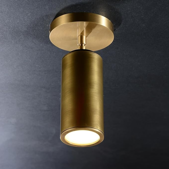 Cameron Adjustable Brass Ceilling Spotlight, Dimmable Directional Brass Wall Lighting Fixtures | Amazon (US)