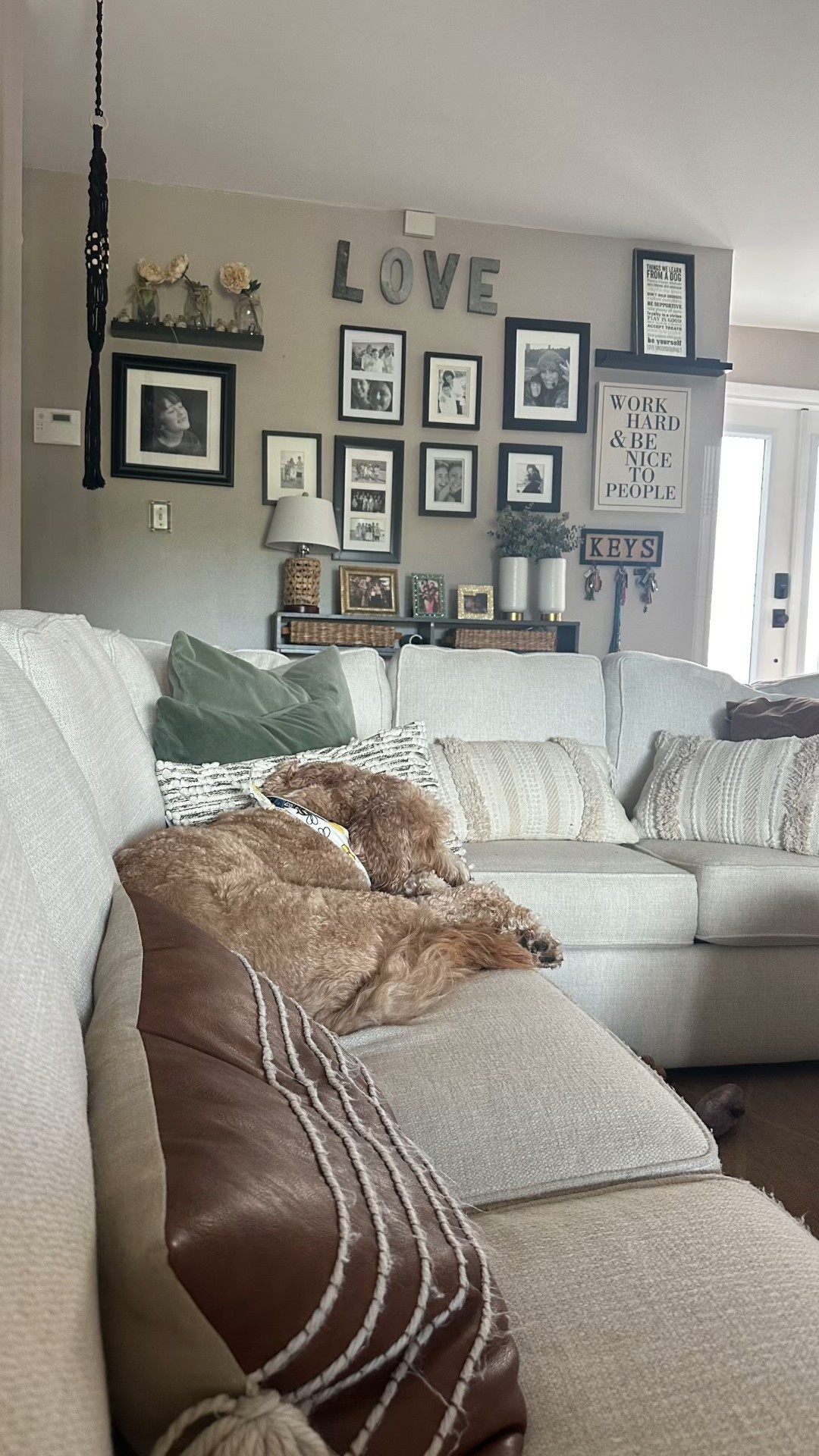 In my next life, I hope I am able to take as many naps as Charlie does. Full disclosure…he’s the world’s bestest boy when he’s sleeping! 
So much so that I went ahead and got him his favorite snacks for delivery tomorrow 🫶🏼🐾🐶

#LTKPets