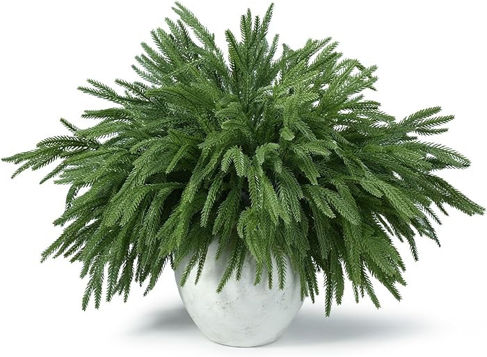 18 Pcs Real Touch Norfolk Pine Branches,Artificial Christmas Green Faux Cedar Norfolk Pine Stems ... | Amazon (US)