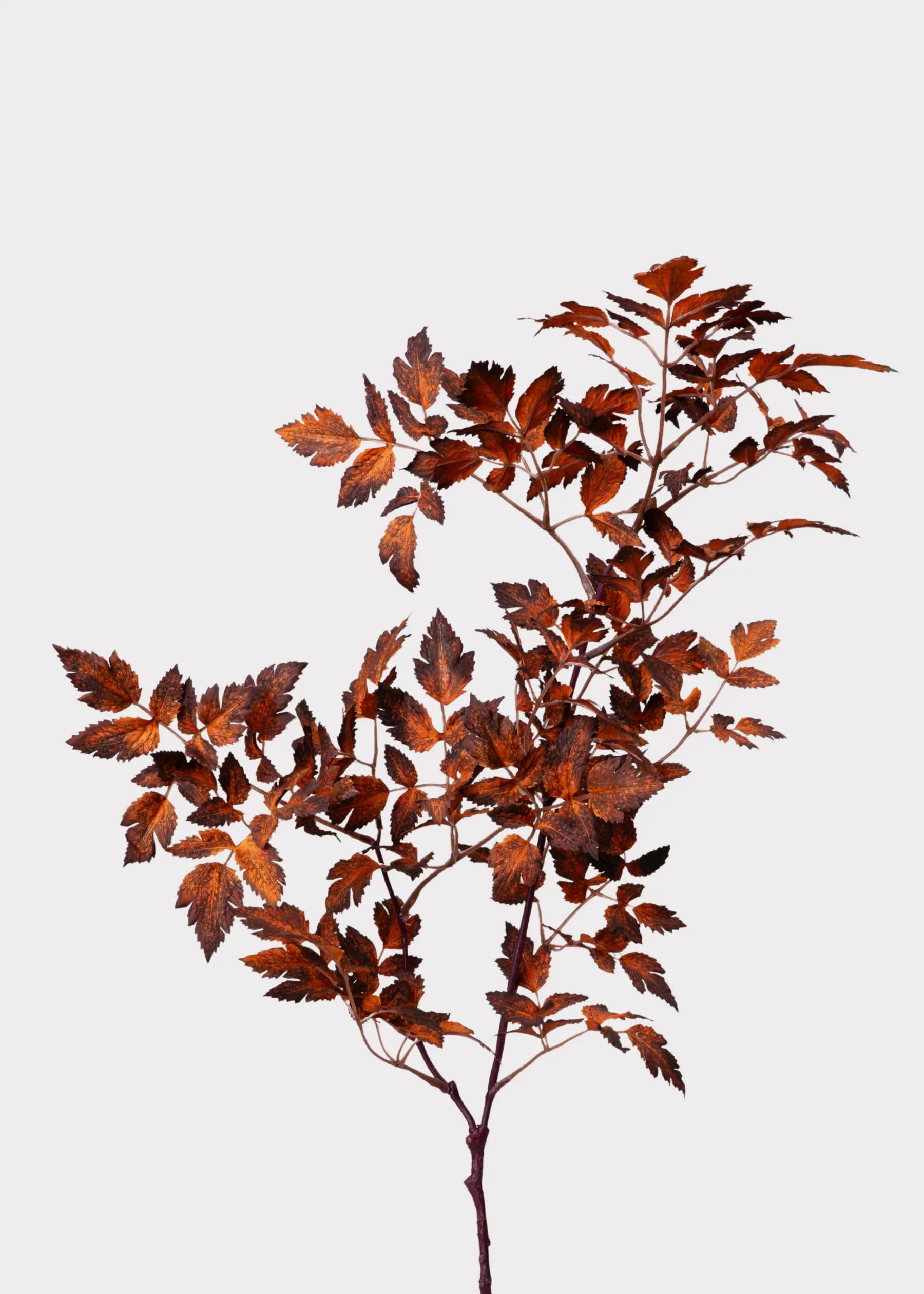 Faux Brown Cimicifuga Spray | Artificial Fall Leaves | Afloral | Afloral