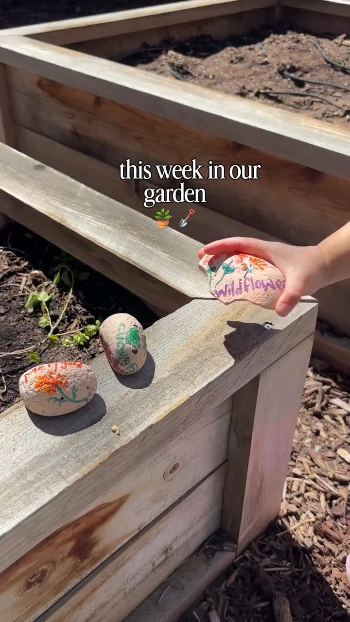 A little bit of progress every day adds up 🌱

What we are growing:
Pumpkins, cucumbers, wildflowers, lilies, hydrangeas, watermelon, marigolds , I think that’s it 😂

#gardentok
#slowliving
#homegarden
#growyourown
#simpleliving