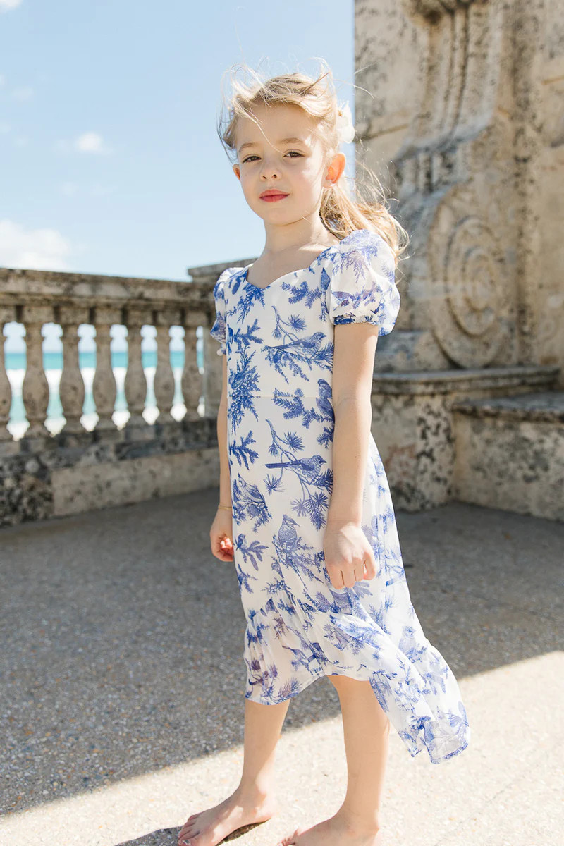 Mini Wren Dress in Blue | Ivy City Co