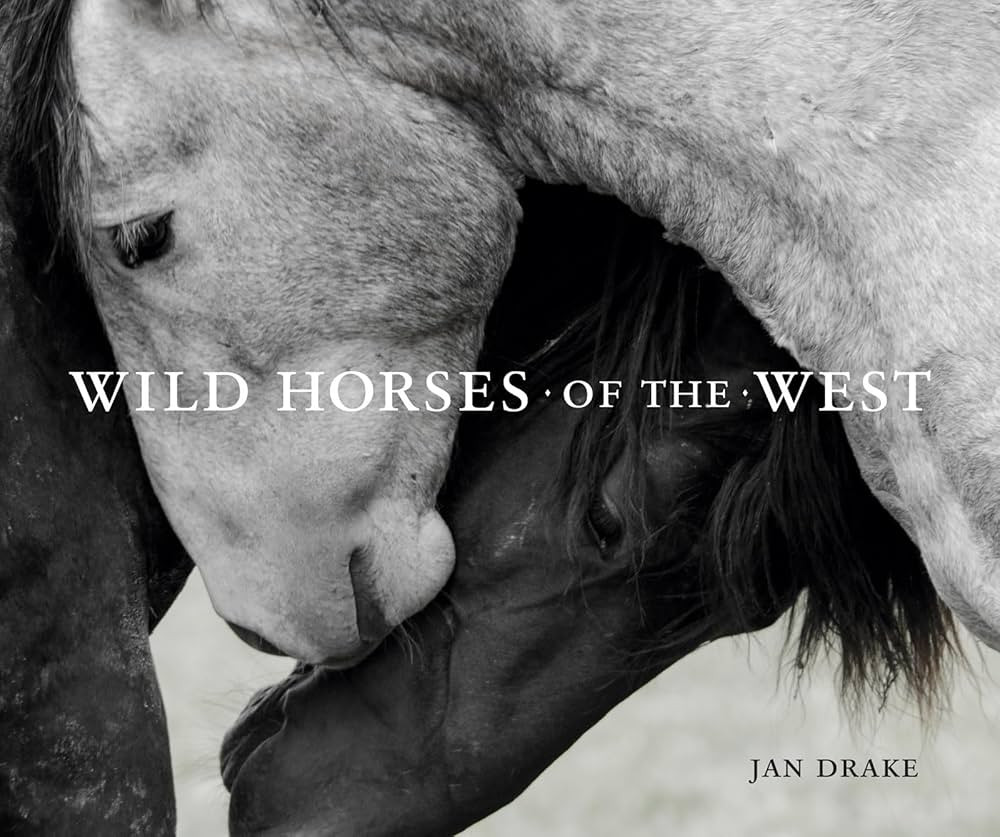 Wild Horses of the West | Amazon (US)
