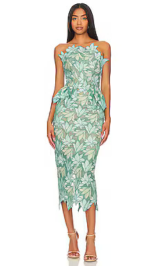 Vinyles Midi Dress
                    
                    ELLIATT | Revolve Clothing (Global)