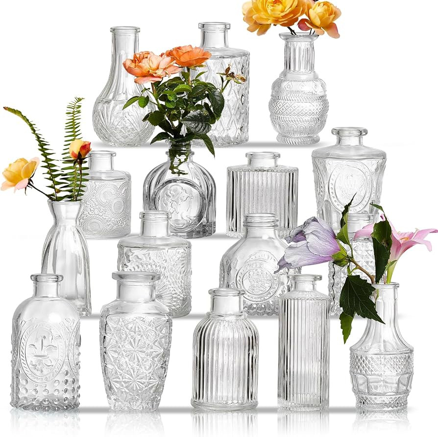 Glass Bud Vases Set of 16 - Assorted Small Mini Glass Vases for Flowers, Crystal Vintage Vase Set... | Amazon (US)