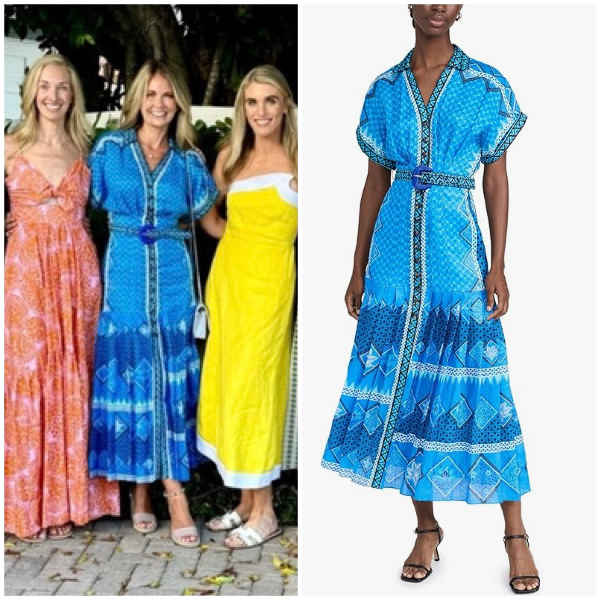 Cameran Eubanks’ Blue Belted Printed Dress