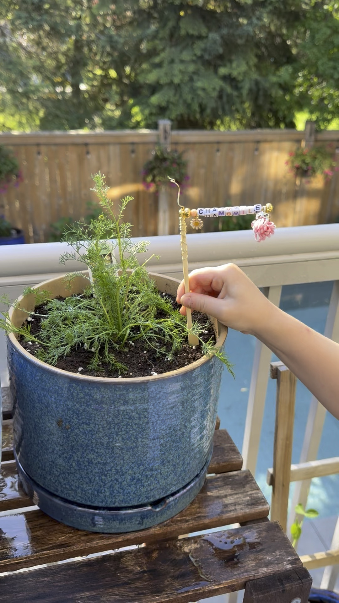 Whimsical plant markers 

#LTKsummer #LTKhome #LTKfamily