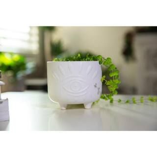 Flora Bunda 6 in. and 4.75 in. Matte White Evil Eye Ceramic Plant Pot with Legs (Set of 2)-CT1423... | The Home Depot