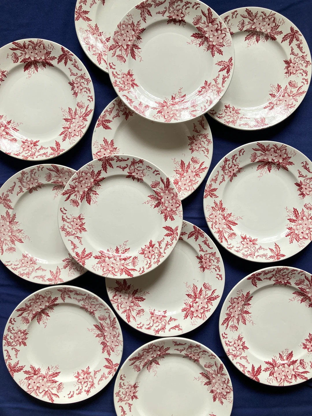 Assiettes Anémones Saint Amand et Hamage / Assiettes anciennes Terre de Fer / Vaisselle Ancienne... | Etsy (US)