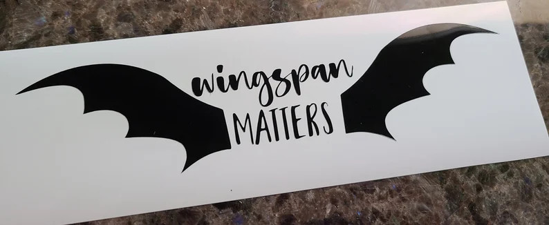 Wingspan Matters ACOTAR Decal Humor Illyrian - Etsy | Etsy (US)