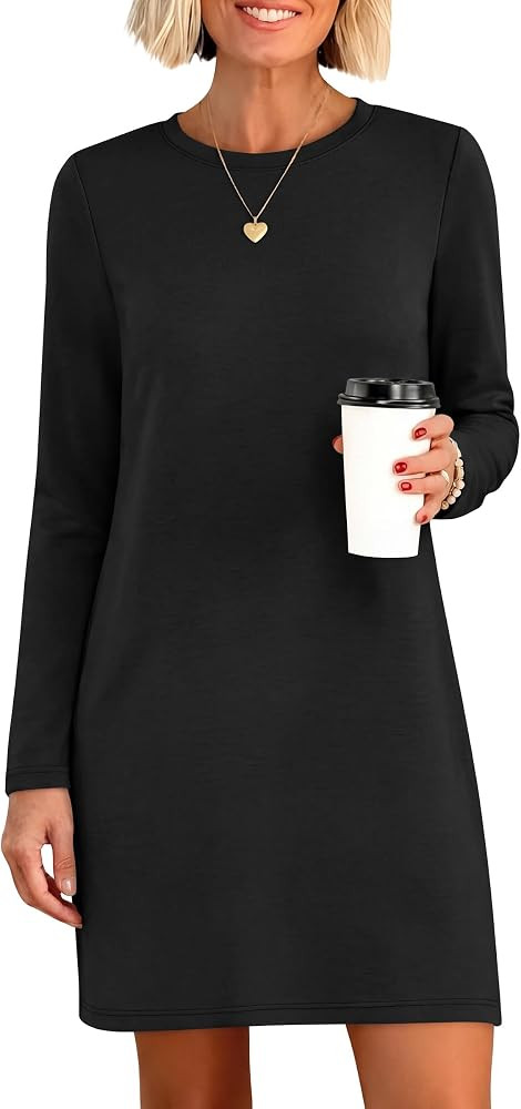 ANRABESS Womens Long Sleeve Fall Casual T Shirt Mini Dress | Amazon (US)