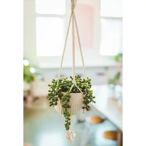 Artificial Plant STRING OF PEARLS MACRAME HANGING CERAMIC DONKEY TAILS - ONE-SIZE | Bed Bath & Beyond