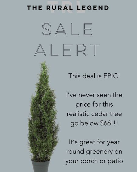 Realistic, faux cedar tree for porch or patio. Perfect for all year-round outdoor home decor.

#LTKFindsUnder50 #LTKHome #LTKSaleAlert