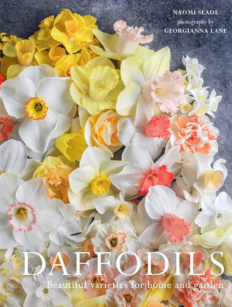 Daffodils: Beautiful Varieties for Home and Garden | Amazon (US)
