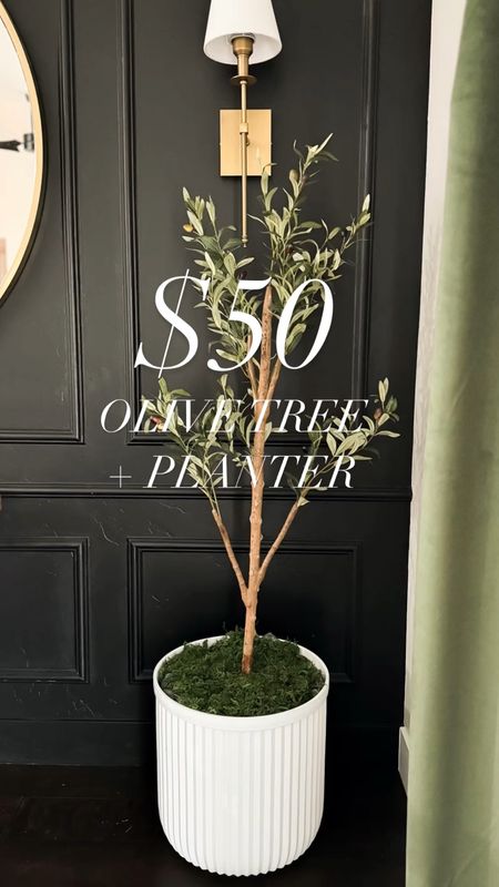 4ft olive tree and fluted planter for $50 total!!! Walmart find 

#LTKfindsunder50 #LTKhome #LTKsalealert
