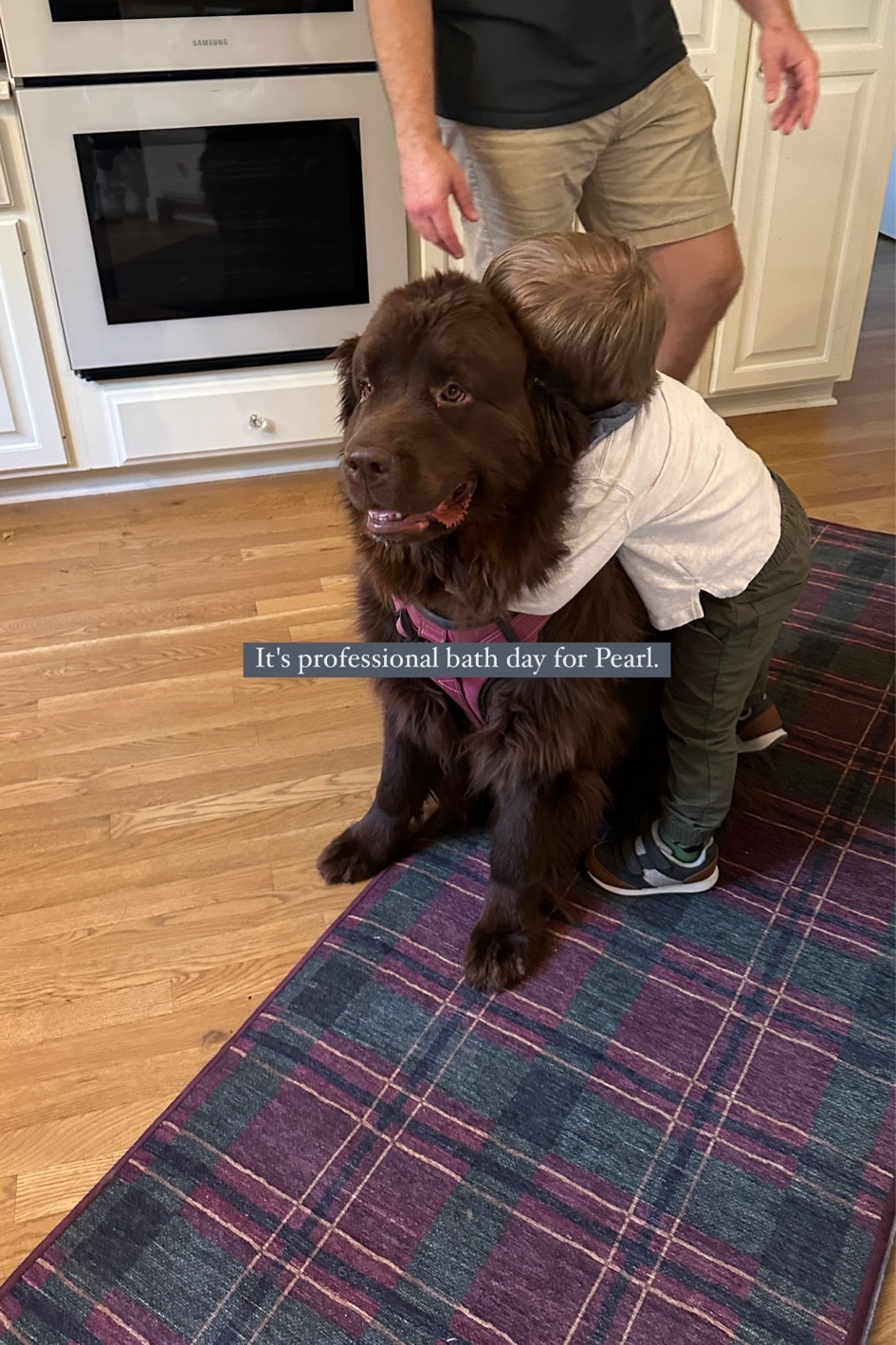 My kitchen rug for the holidays🌲

#LTKSeasonal #LTKHome #LTKHoliday