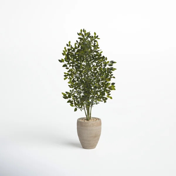 53'' Faux Ficus Tree in Earthenware Planter | Wayfair North America