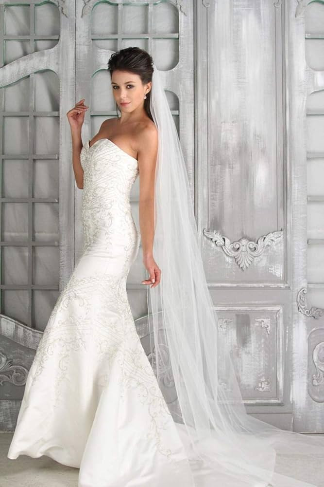 Ursumy Bride Wedding Cathedral Veil Long Drop Veils Simple Chapel Soft Tulle Bridal Veils for Bri... | Amazon (US)
