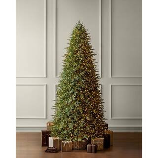 12 ft SMART Grand Duchess Twinkling Balsam Fir LED Pre-Lit Tree T39 | The Home Depot
