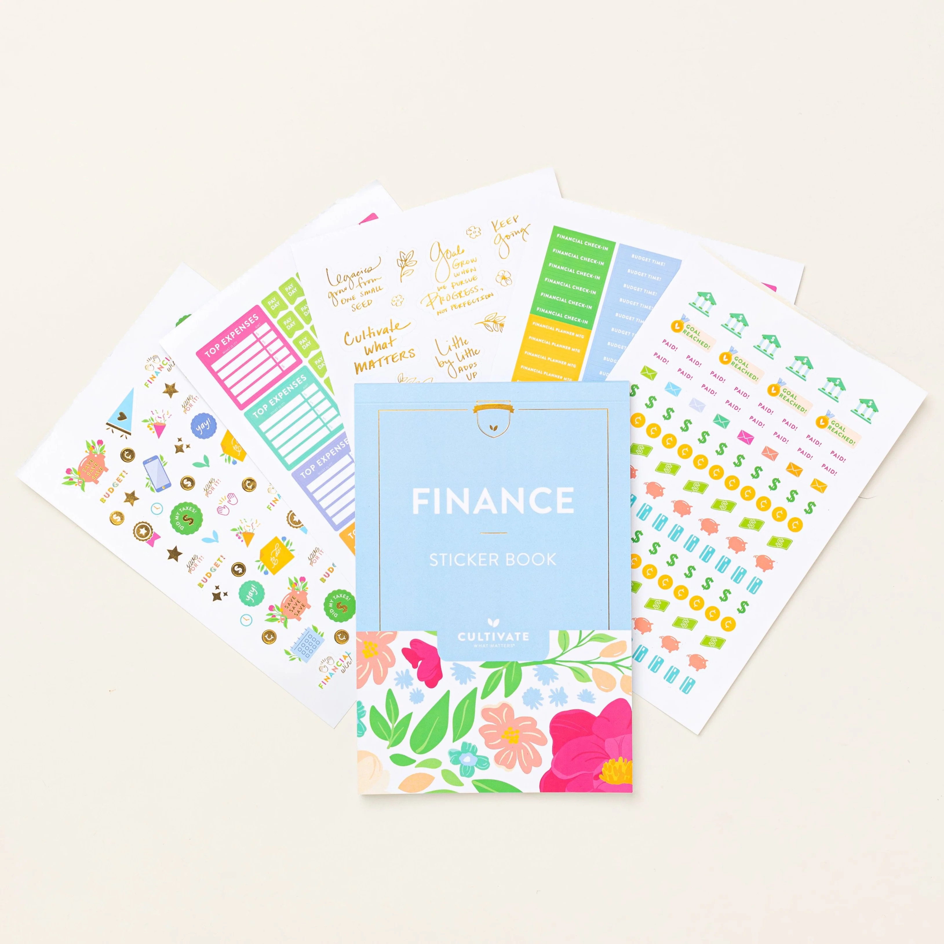 Finance Sticker Book | Cultivate What Matters