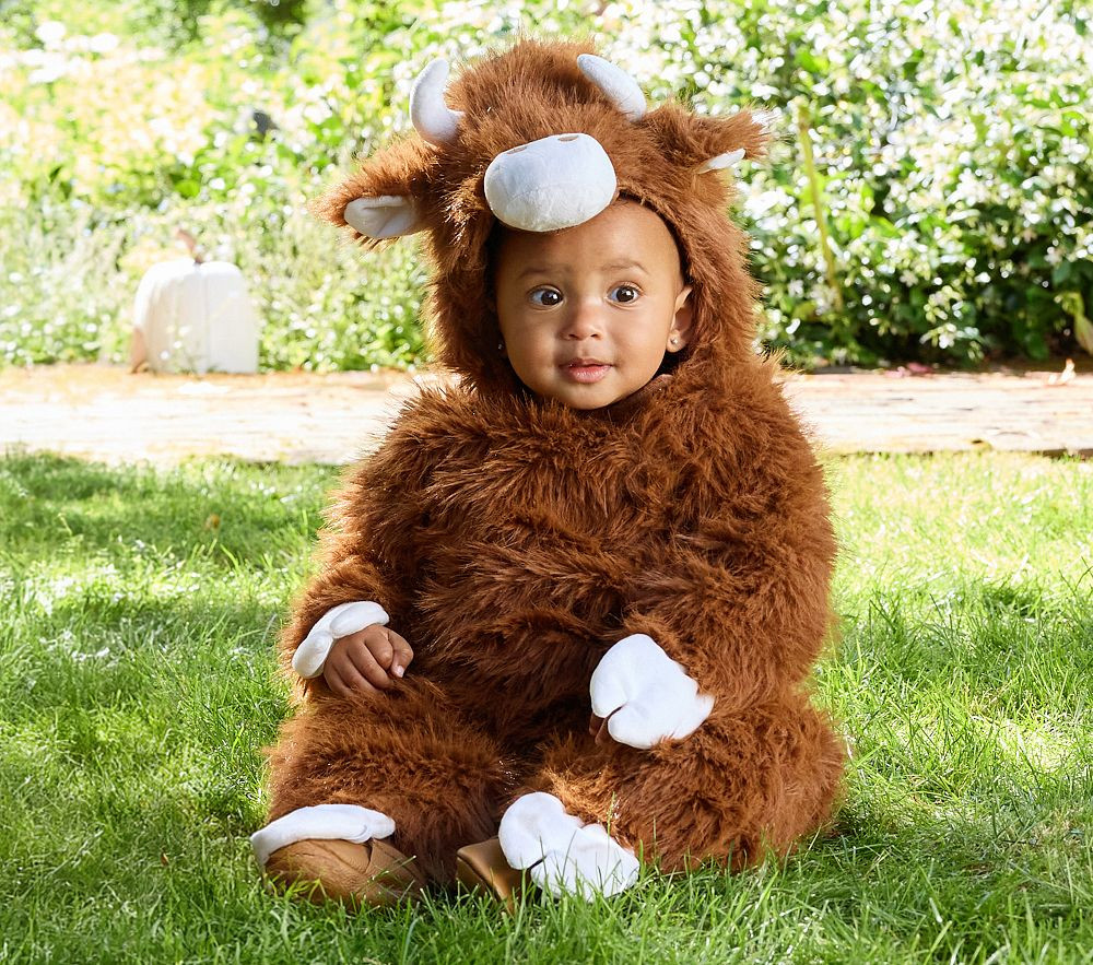 Baby Highland Cow Halloween Costume | Pottery Barn Kids